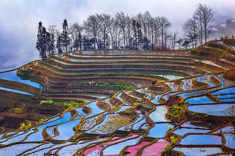 红河哈尼梯田