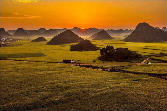 “世界最大的自然天成花园金色罗平