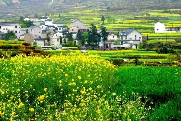 乡村生活处处是美景 徽系乡村景观就是这么美