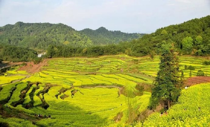 乡村生活处处是美景 徽系乡村景观就是这么美