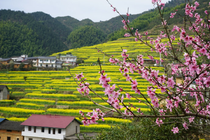 乡村生活处处是美景 徽系乡村景观就是这么美